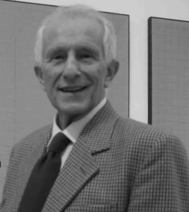 tino stefanoni artista quotazioni vendita